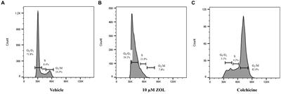 Effects of neoadjuvant zoledronate and radiation therapy on cell survival, cell cycle distribution, and clinical status in canine osteosarcoma